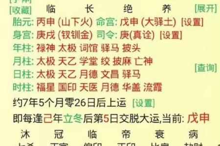 八字巳申
