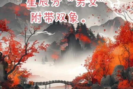 紫云紫薇斗数视频