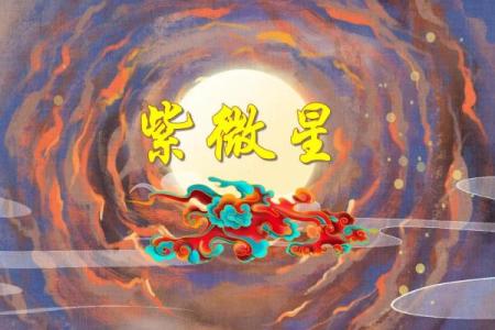 紫微斗数新字 紫微斗数讲堂？