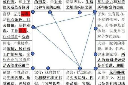 紫薇斗数里忌代表什么