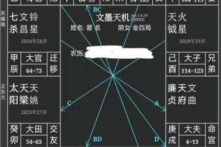 紫微斗数之田宅宫与诸星，太阳星在田宅宫是什么意思？