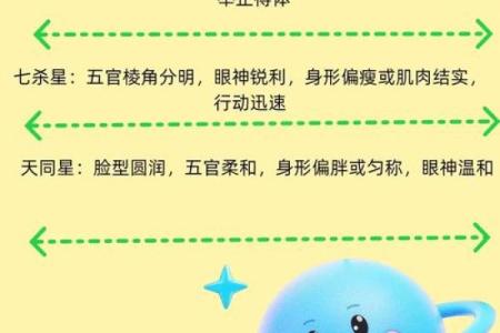 紫微斗数诸星落命宫之：生年博士十二神详解