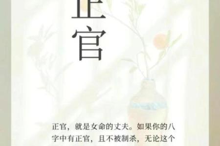 女人能算命吗为什么