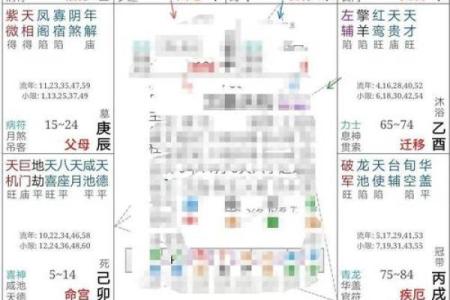 紫微斗数诸星落命宫之：生年将前十二神详解
