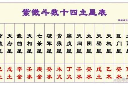 紫薇斗数中的加什么意思