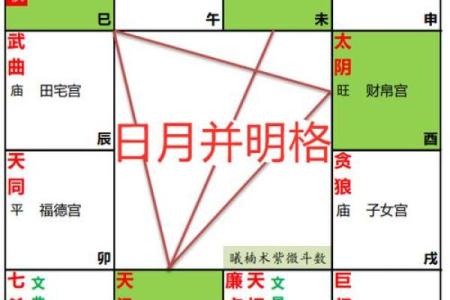 紫微斗数富贵命格排行 紫微斗数富贵格局排名？