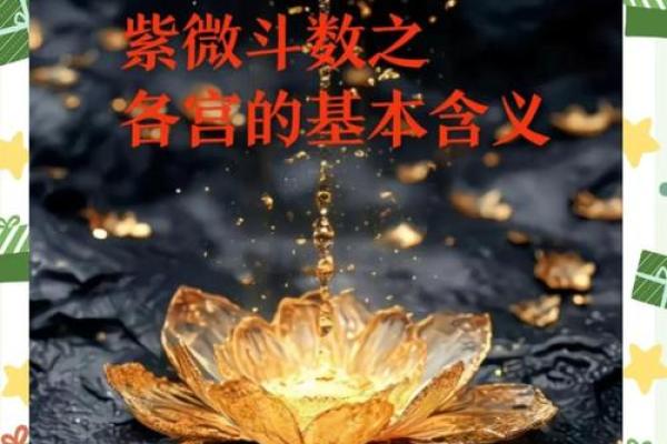 紫微斗数哪颗星适合女生 紫微斗数里面最好的星？