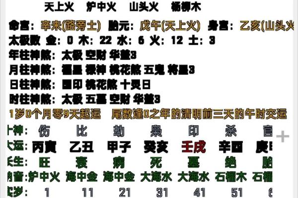 怎么看八字阴阳,八字是怎么数阴阳