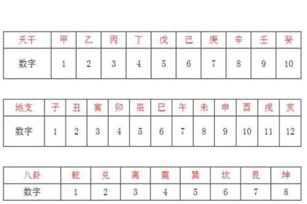 梅花易数排盘怎么解