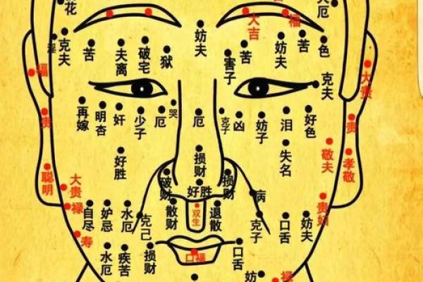 面相风水_更好看的风水小说