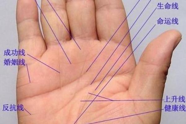 看手相算命：第六课 实际看