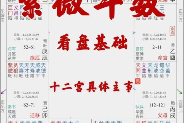 紫薇斗数命盘如何排