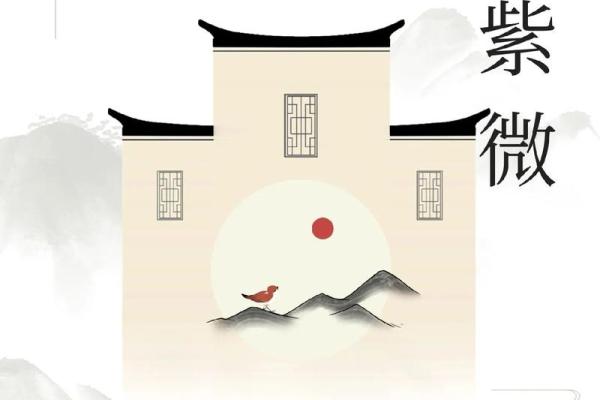 紫薇斗数壬化禄