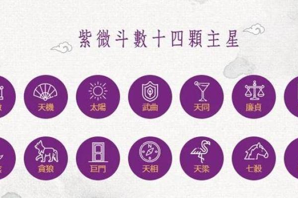 紫微斗数太阳星和紫微 太阳和紫微星谁大？