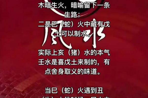 学玄学的八字