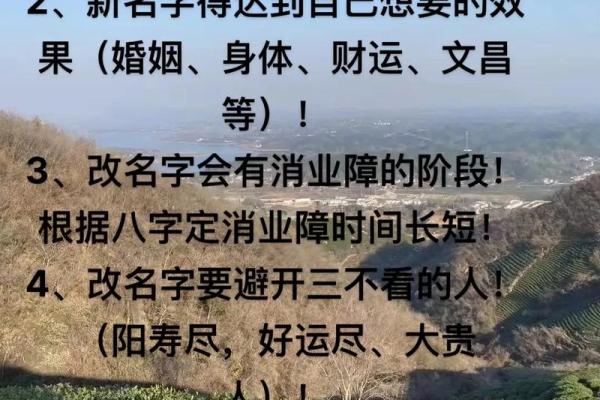 起名字免费八字起名周易,起名字2024免费八字起名周易