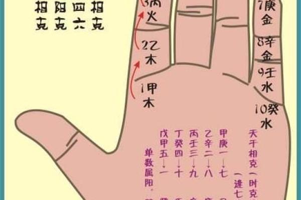 什么是八字软