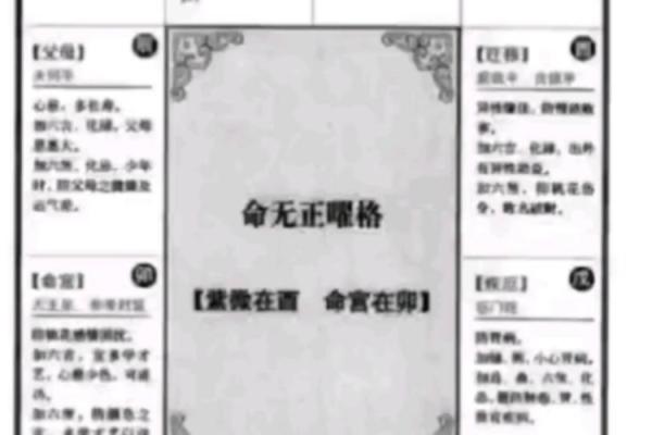 紫薇斗数状元格