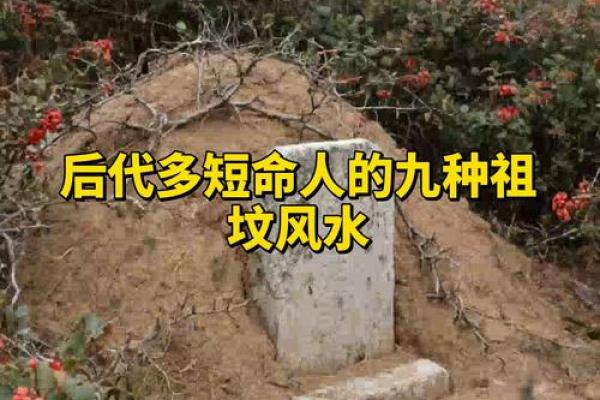 这种风水好，能造福后代易出贵人！