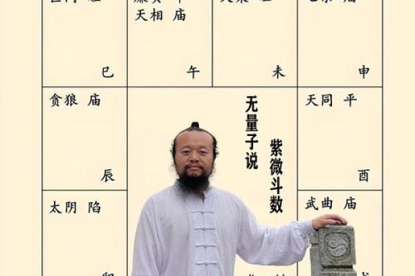 紫薇白娘子紫微斗数书