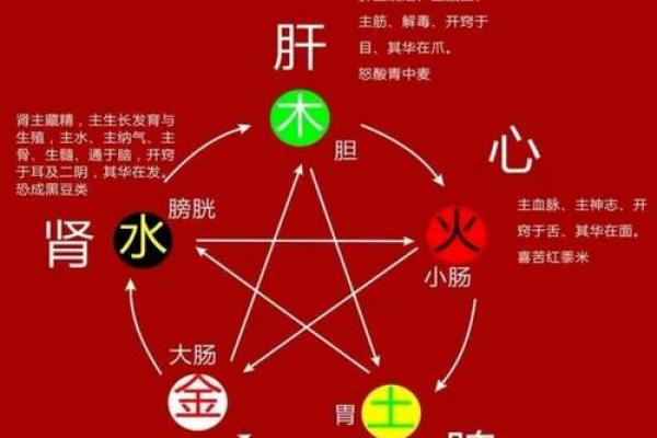 从易经详谈，风水与中医之间的关系！