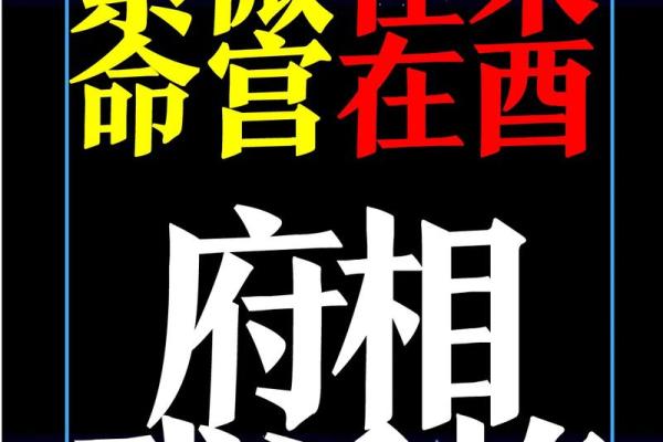 紫薇斗数正格