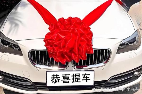 生辰八字可以买车