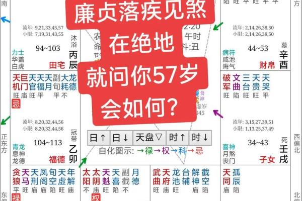 紫薇免费算命准不准？详解紫薇的命理学特点