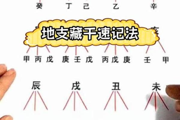 四柱八字中地支藏干如何运用
