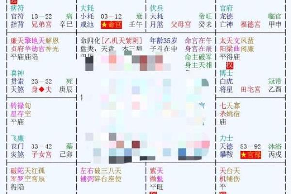 美貌男紫薇斗数