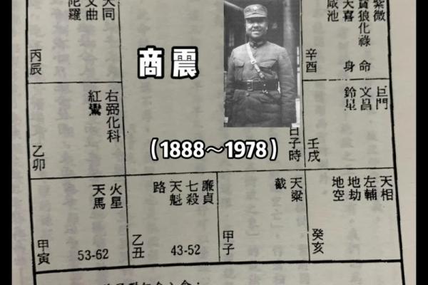 美貌男紫薇斗数