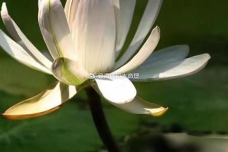 风水命理_主角叫王文涛闫思彤的小说
