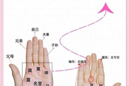 看手相算命：第六课 实际看