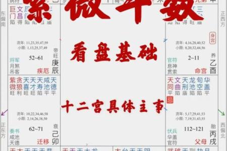 紫薇斗数命盘如何排