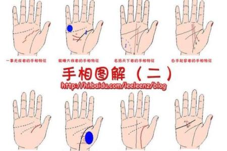 手纹算命图解 财富手纹解读