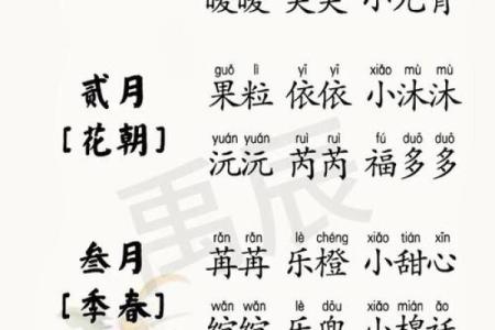 算命起名-2024年正月大年初二出生取什么名字吉利
