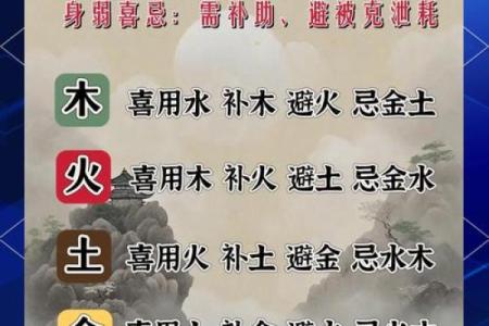 八字喜用神为木火适合职业