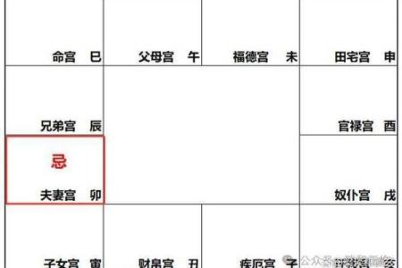 紫薇斗数配偶身材