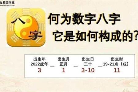 数字八字命理学