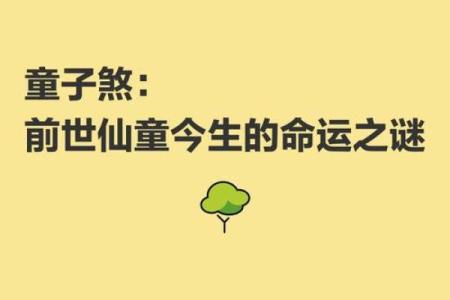 童子命的八字