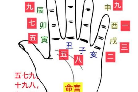 面相算命图解十二宫之：田宅宫