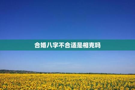 八字不合婚姻肯定不好吗影响财运吗