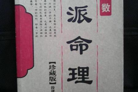 清娟盲派八字内部资料