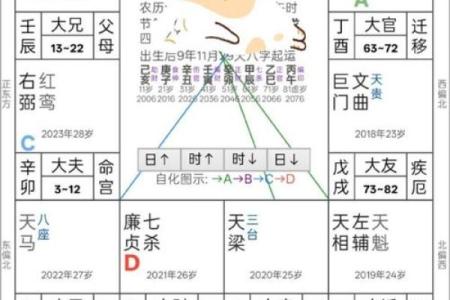 紫薇斗数炒股发财