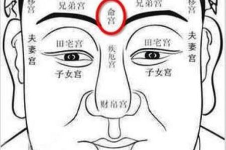 面相图解-八字眉面相算命及特征