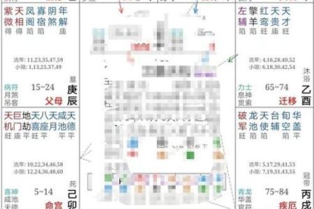 紫薇斗数怎么看一个人啥时买车