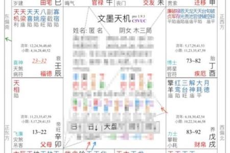 紫微斗数命宫身宫得分 紫微斗数命宫身宫查询表？