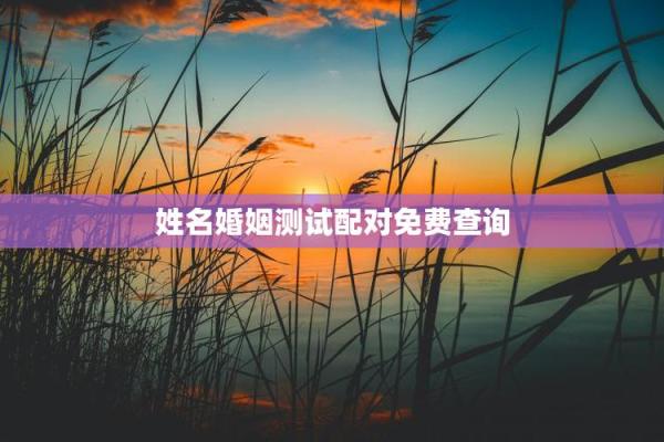 姓名配对免费app 姓名配对免费测试？