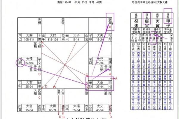 紫薇斗数明盘