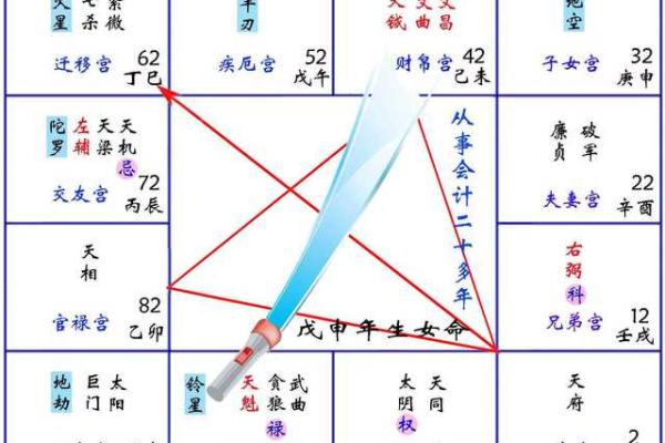 紫薇斗数网上命例